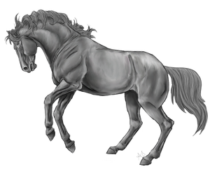 Rearing Horse Line Art By Xxkincadesvanityxx-greys