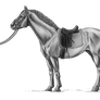 Dressage Horse By Stillre Greyscale