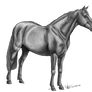 Free Pony Lineart By Kawisaurus Greyscale