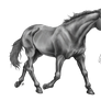 Free Lineart Trotting By Paigepony Greyscale