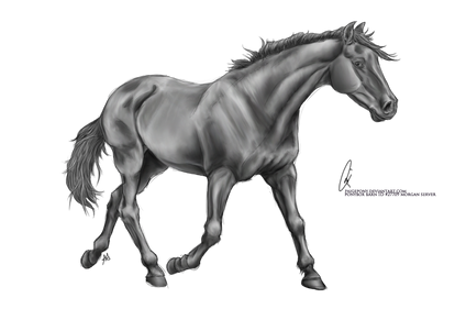 Free Lineart Trotting By Paigepony Greyscale