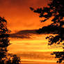 Orange Sunset IV