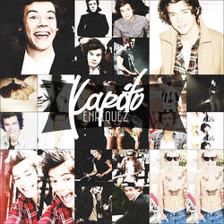 Harry Styles Collage.