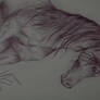 Cross hatching horse 2