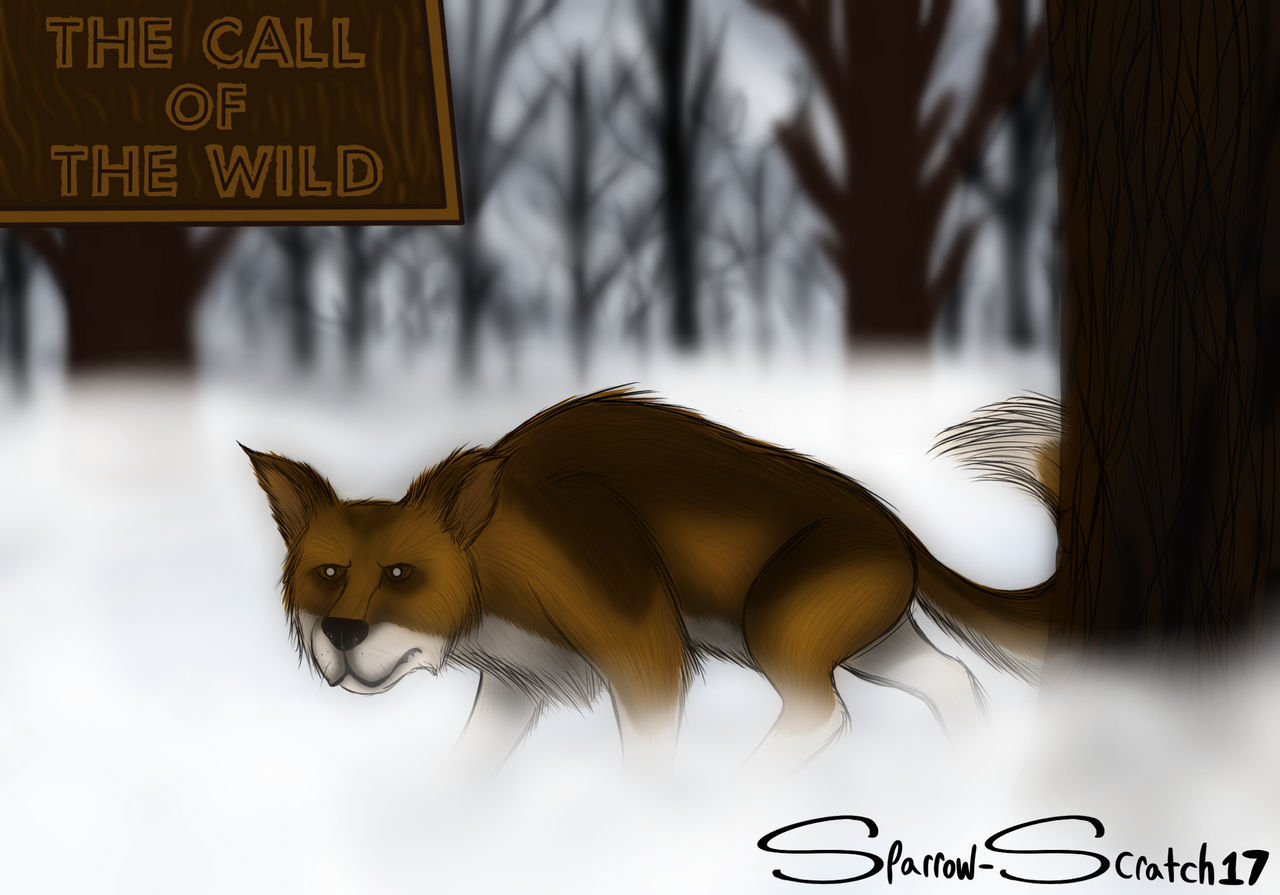 The Call of the Wild