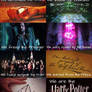 The Harry Potter Generation