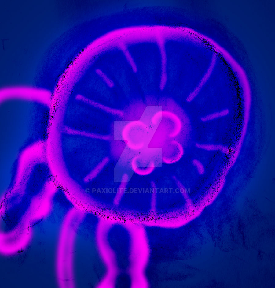 Jellyfish Color