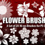 Flower Brushes 4 Photoshop CS+