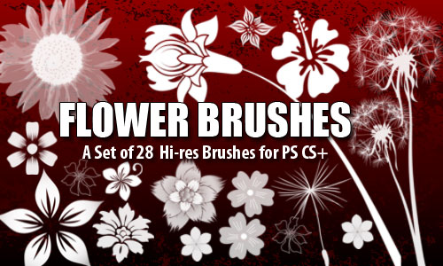 Flower Brushes 4 Photoshop CS+