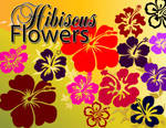 Hibiscus Flowers Set