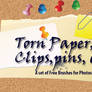 Torn paper brushes