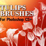 Tulip Flowers- PS Brushes