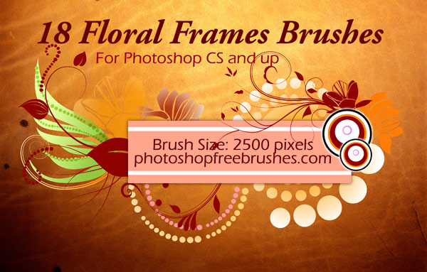 18 Floral Frame PS Brushes