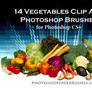 14 Vegetable PS Brushes