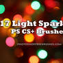 17 Sparkle of Lights PS Brush