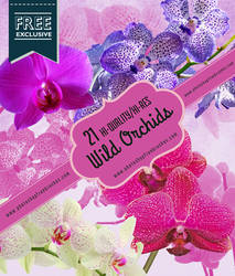 21 Orchid Flower Brushes for Photoshop