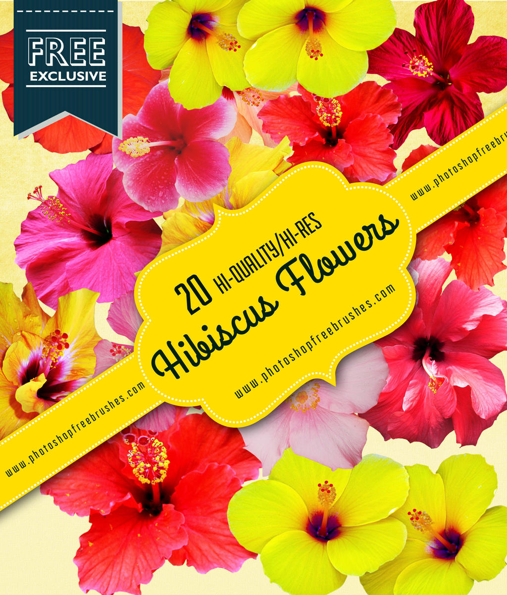 20 Free High-Res Hibiscus Realistic Flowers by fiftyfivepixels