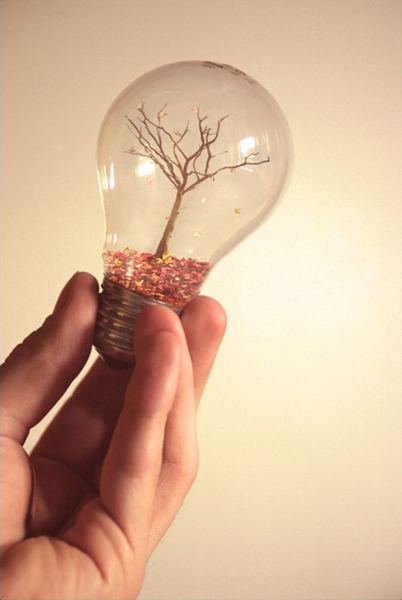 new bulb tree