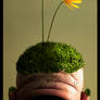man with flowers on his head