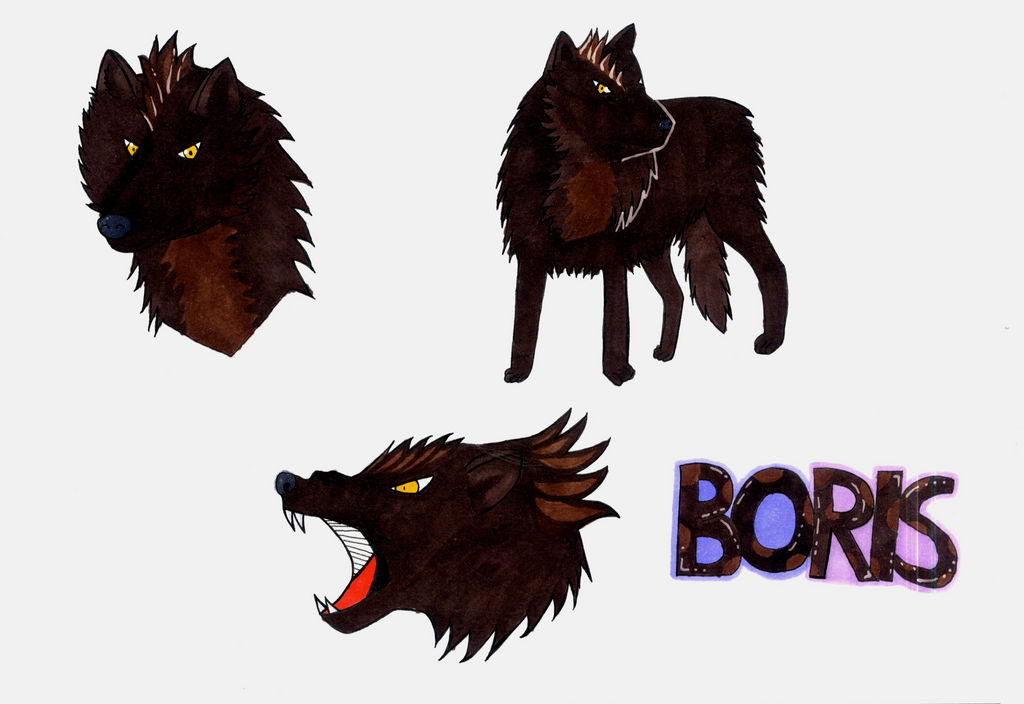 Boris Reference Sheet By Jellywolffy On DeviantArt
