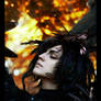 Howl's moving castle: Howl Demon 2
