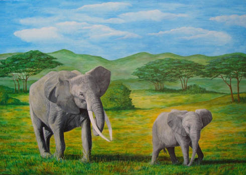 Elephants