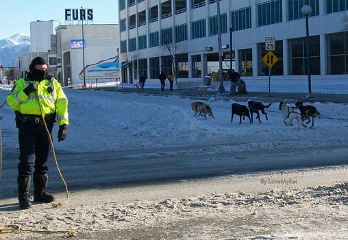 Here Come The Dogs