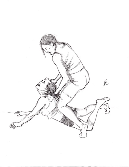 Cat Fight
