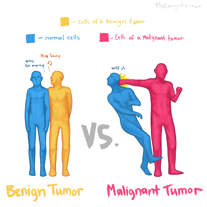 Benign Vs Malignant Cells