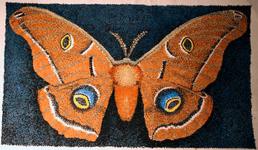 Polyphemus Moth (Antheraea polyphemus)