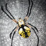 Writing Spider - Argiope aurantia