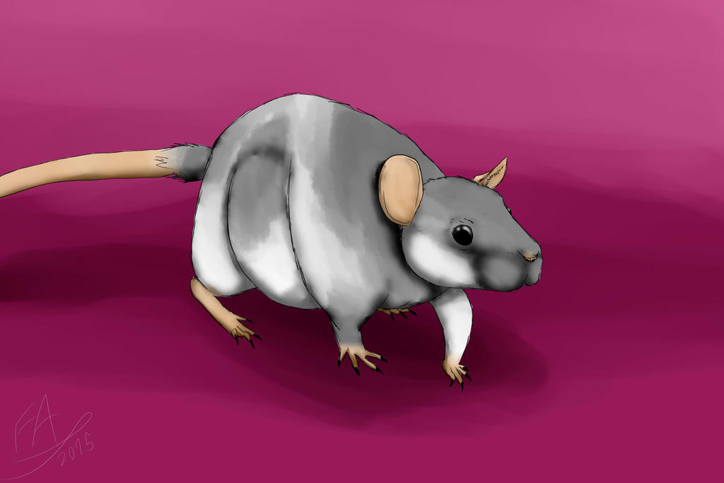 Rat Deviantart Rat by FeatherAmbara on DeviantArt