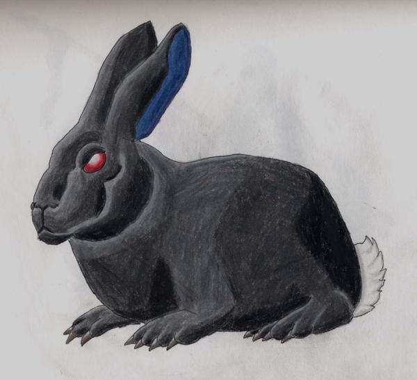 Black Rabbit of Inle by davessyndrome on DeviantArt