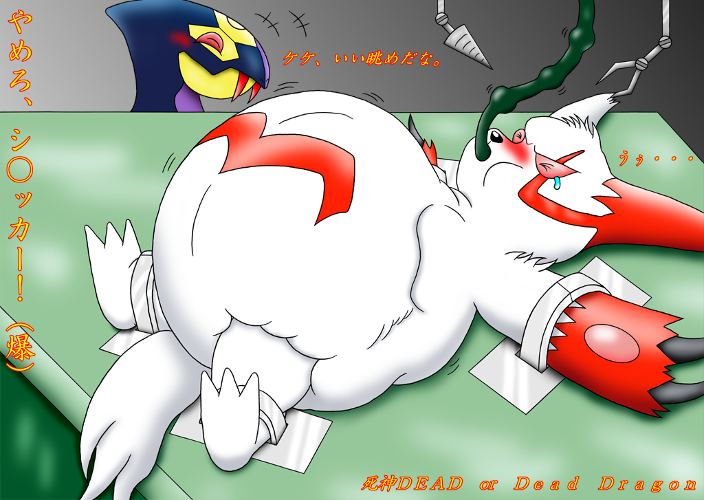 Inflated Zangoose