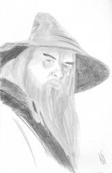 Gandalf, inspired by John Howe