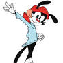 Wakko... again