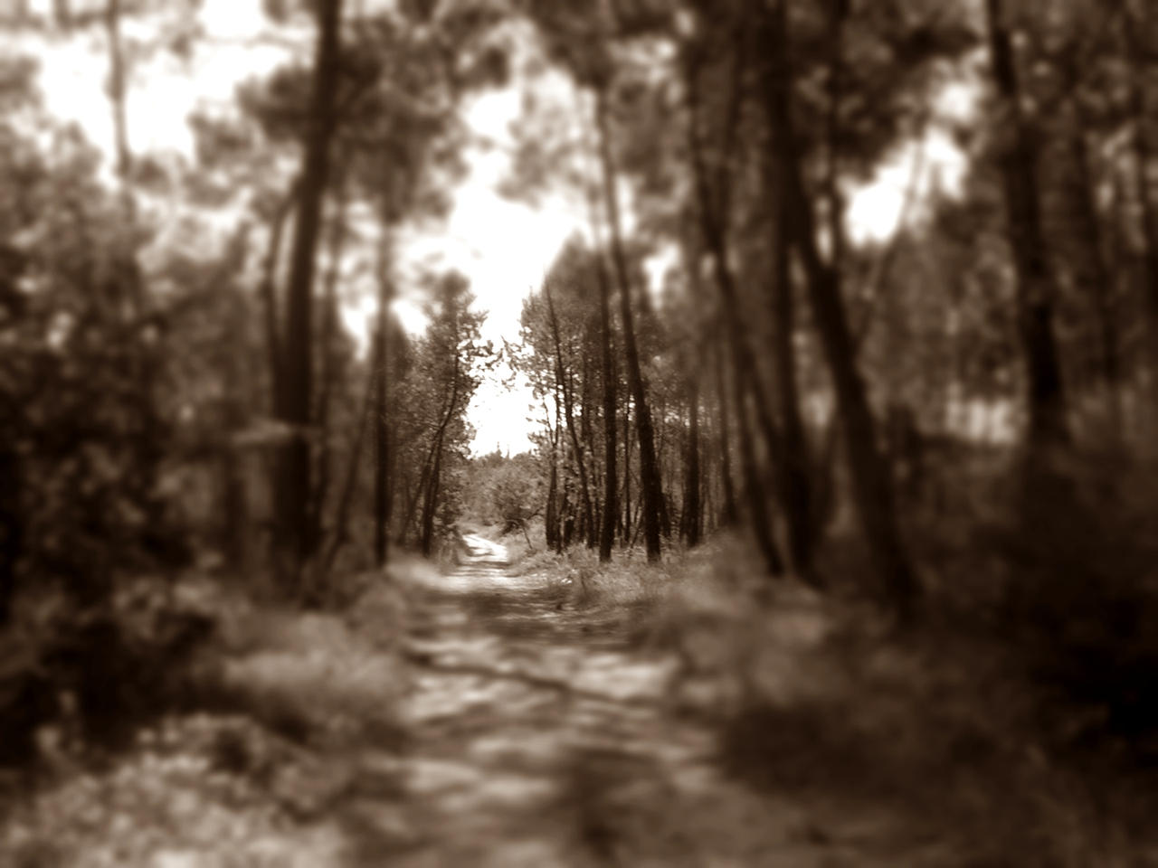 one path by Eydein on DeviantArt