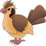 016 Pidgey