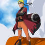 Naruto The Sage