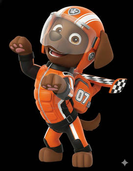 The All New Ready Race Rescue Zuma