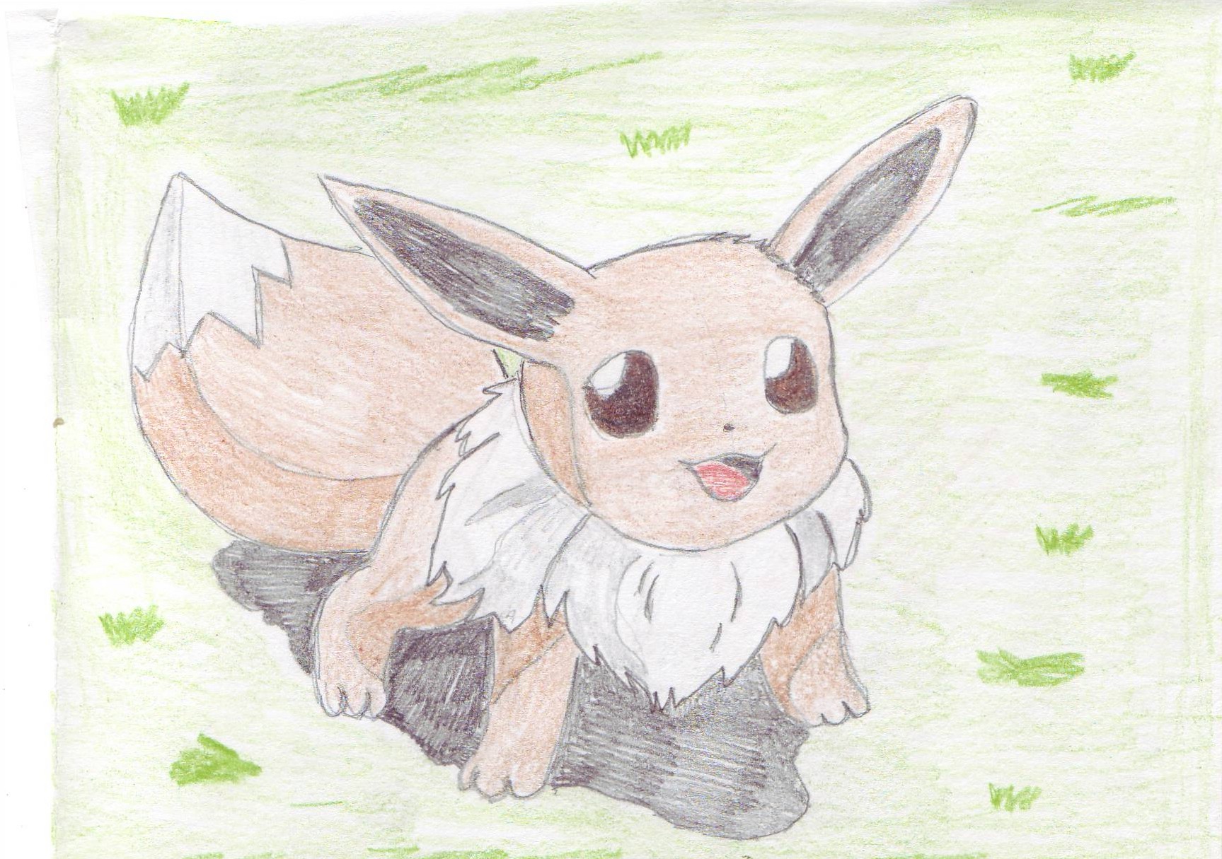 +: Eevee:+