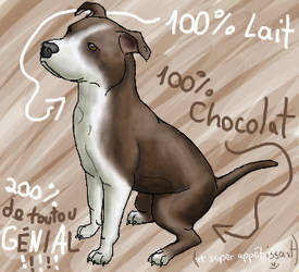 Chocolate dog