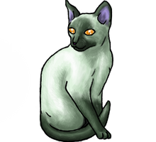 Siamese shinycat : green