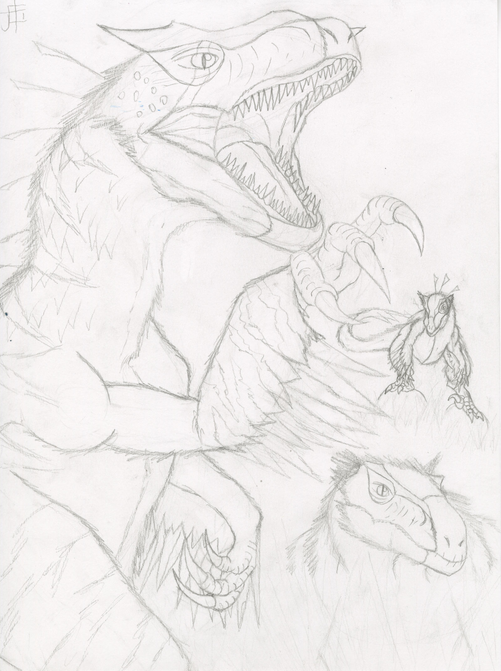 Utah Raptor Outlines Utahraptor outline by spinosaur1 on DeviantArt