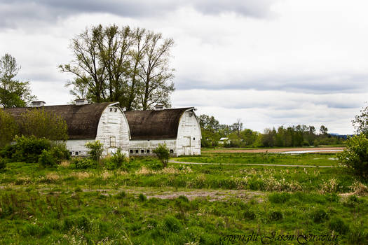 Country View