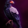 The Bateleur Eagle