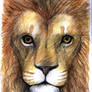 Lion of Judah