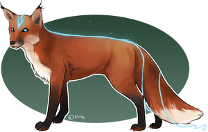 Character design: Fox