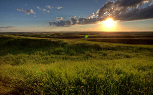 Saskatchewan-fields by Brissinge