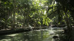 The-river-flows-through-the-rainforest-in-the-jung by Brissinge